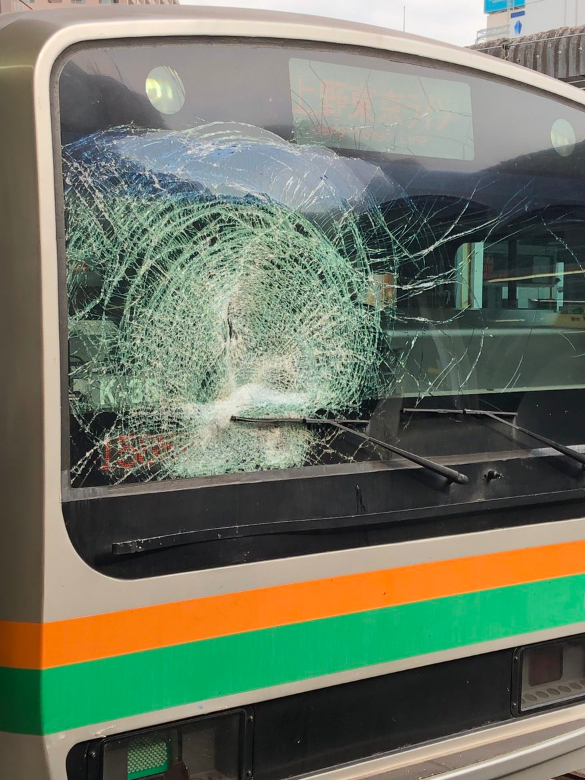 藤沢駅で人身事故が発生 電車のフロントガラス破損 地 球 情 報 局 藤沢駅で人身事故が発生 電車のフロントガラス破損 地 球 情 報 局