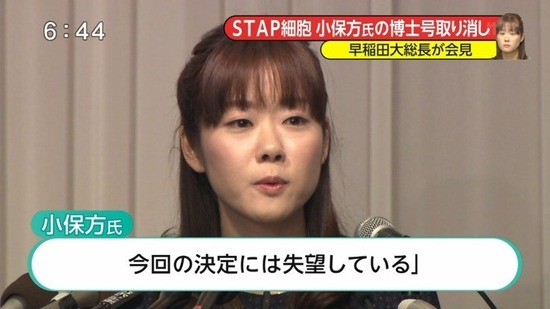 stap_obokata4