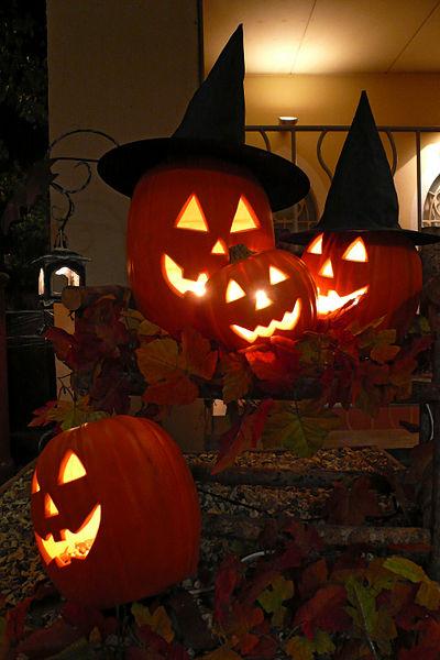 119341_photo1