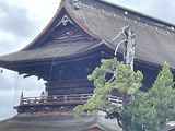 C0C43025-3130-43A1-8604-0521BF57F0EB