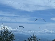 Mw7Hb8YwQGi+FRIJFecyoQ