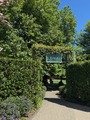 IMG_5011