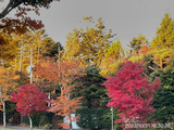 4B7981E1-A020-461F-B424-79202A7E2583
