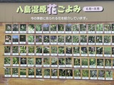50901D7D-174F-4AB0-BAC5-B044EB8A5861