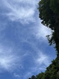 D3A04C79-58BE-42B3-9E99-255B531B70F9