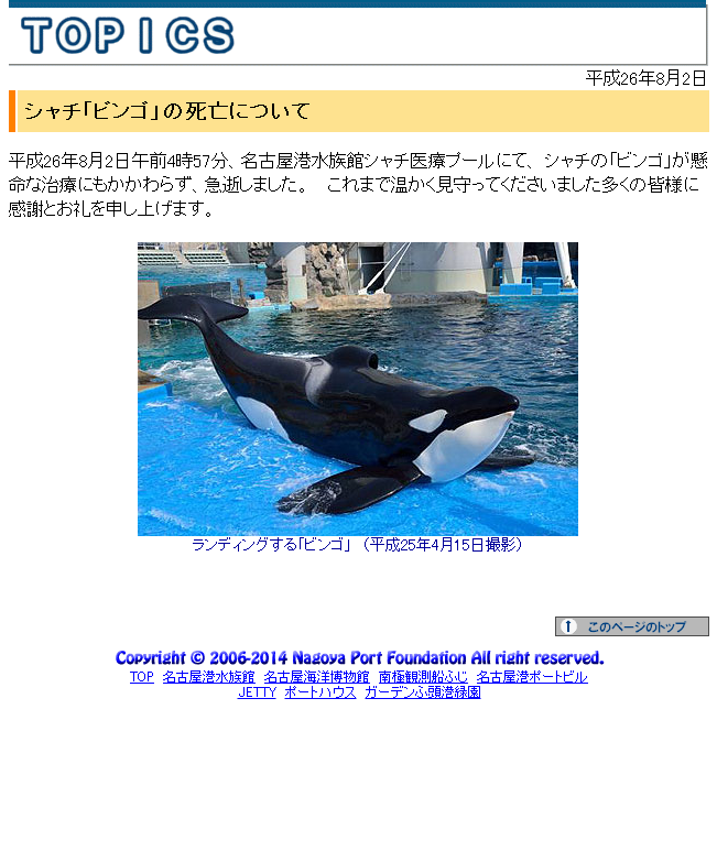 シャチのビンゴが死亡して早一年 Sakamataのサイト