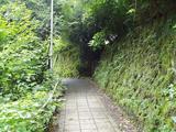 コチチカ 路地2