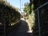 和久 路地