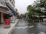 タッピーズ 若宮大路2
