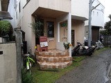 グリーンスワード 店頭