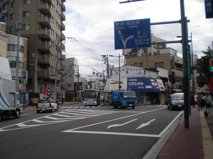 鶏ひき肉のスロッピー・ジョーズのレシピ