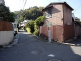 星の音 路地