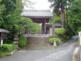 コチチカ 浄妙寺