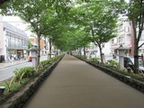 いなほ食堂 段葛