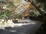 アルペンホルン 文学館への道