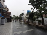 古川 若宮大路2