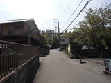 コトノハ 路地
