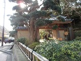 清海波 報国寺