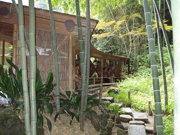 報国寺 竹の庭 シェフコミ 湘南 鎌倉 食の情報