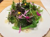 SIRIUS 鎌倉野菜サラダ