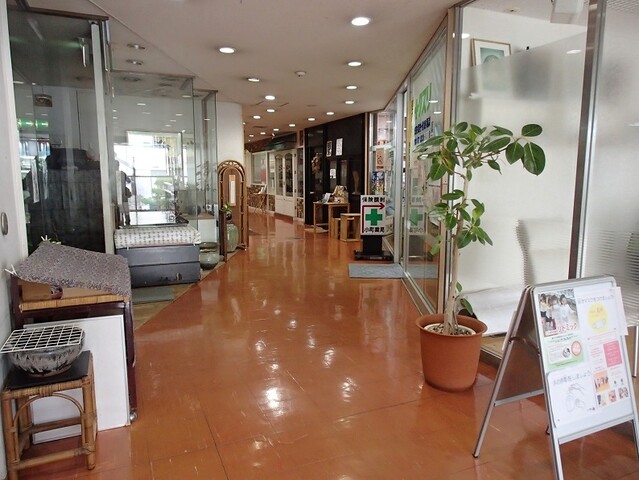 グリーンラウンジ カフェ : シェフコミ 湘南・鎌倉 食の情報