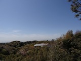 鎌倉山倶楽部 ルミリュウからの眺め