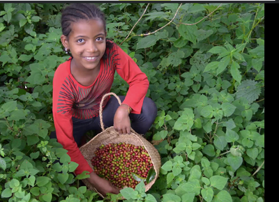 スクリーンショット 2020-10-25 14.21.32