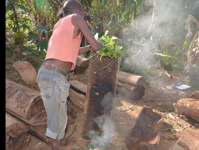 スクリーンショット 2020-10-25 14.17.32