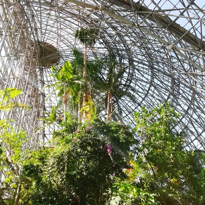 IMG_20201112_142746_952