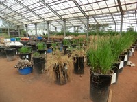 201901 ウガンダ　ナムロンゲ