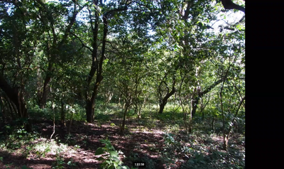 スクリーンショット 2020-11-02 07.32.10