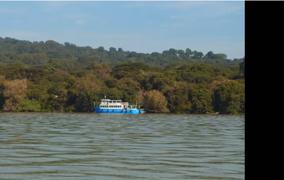 スクリーンショット 2020-11-02 07.29.37