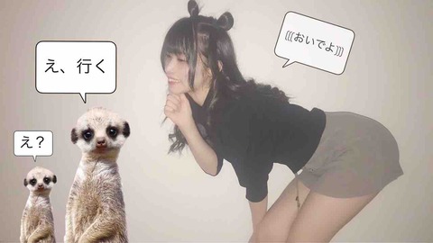 ぜんぶ君のせいだ。 ぜん君。 アイドル 如月愛海 チェキ