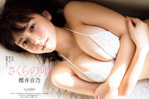 櫻井音乃 グラビア 画像 水着 ビキニ 写真集_8740