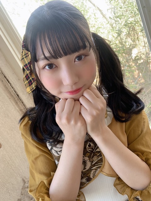 水着 ナナランド 西嶋菜々子 画像9030