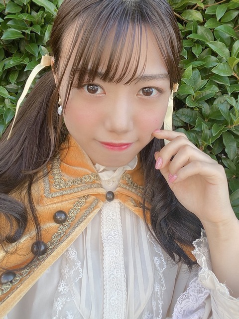 水着 ナナランド 西嶋菜々子 画像9010