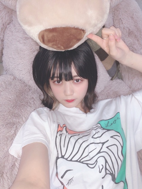 アンスリューム　ちぎら　画像
