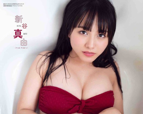 水着 Pimm's ピムス 新谷真由 グラビア 画像4234