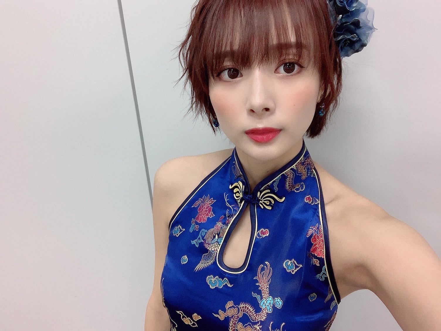 活動歴および当時の関連ビジュアル記録