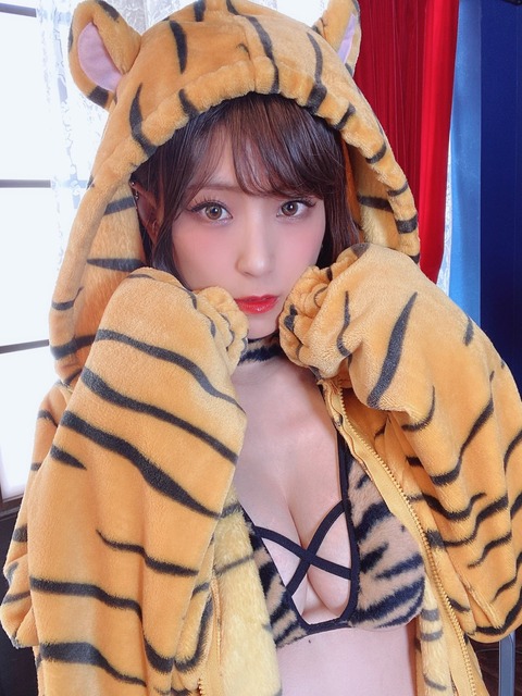 つんこ 水着 画像 グラビア ビキニ コスプレ_3129