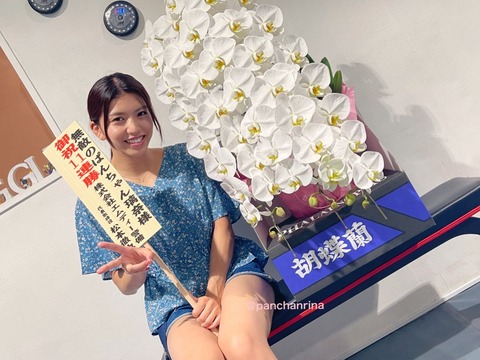 写真集 ぱんちゃん璃奈 水着 画像 グラビア ビキニ_6367
