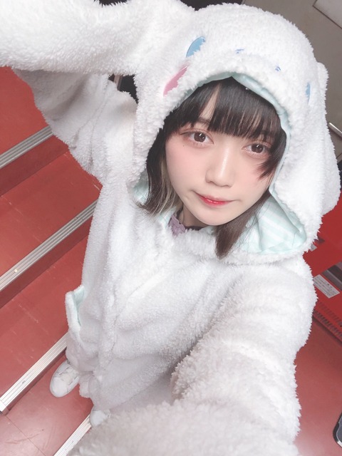 アンスリューム　ちぎら　画像