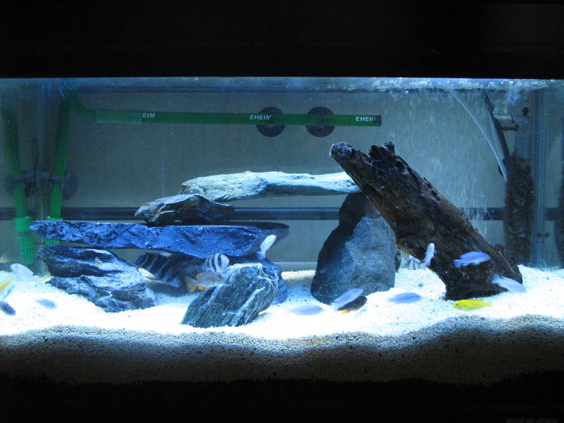 魅惑のシュミroom まとめてブログ 10年08月