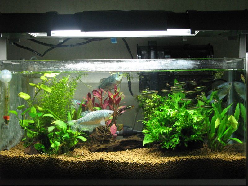 魅惑のシュミroom まとめてブログ 10年08月