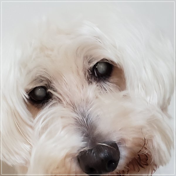 20190719_075654