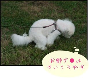 DSCF0036