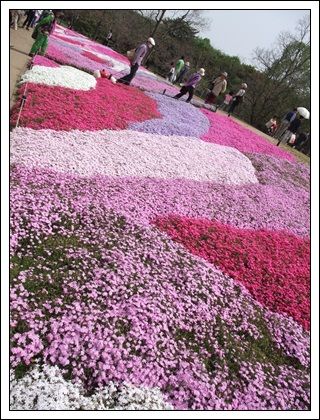 DSCF0016