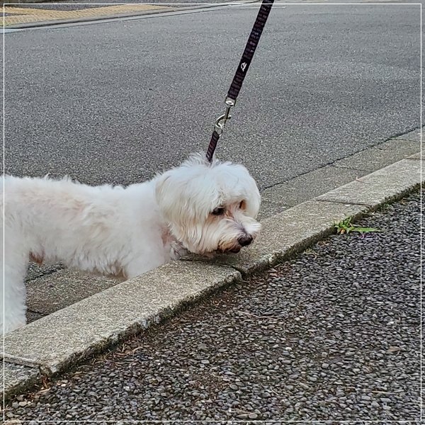 20190715_141145