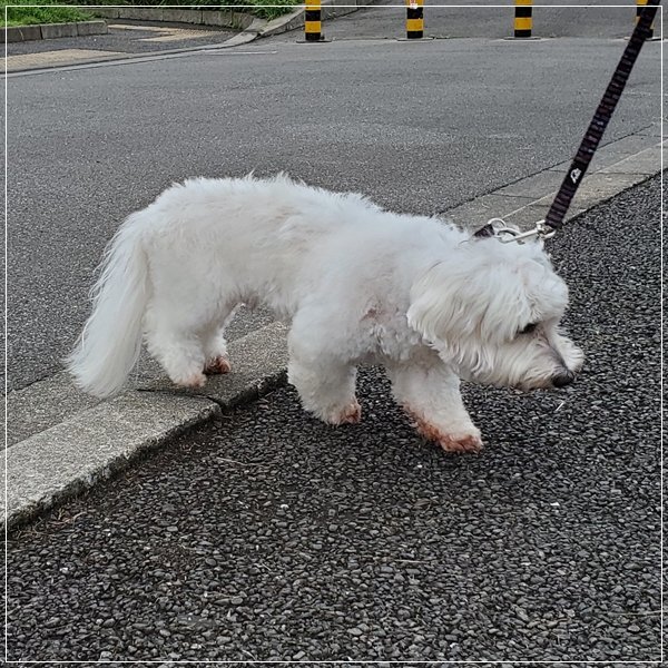 20190715_141150