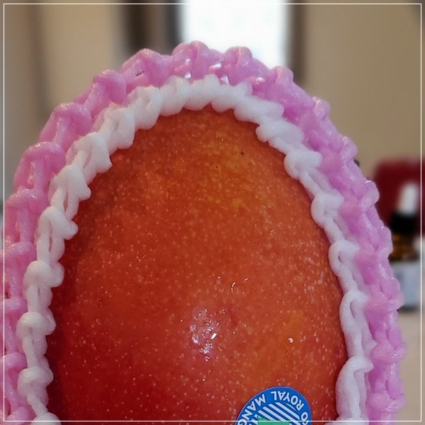 20190719_074349